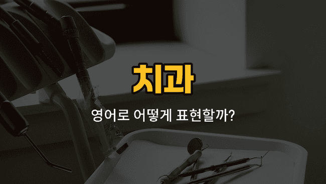 송곳니, 혀, 입천장, 턱, 치근 영어 단어와 발음, 예문을 배우는 치과 영어 학습 이미지