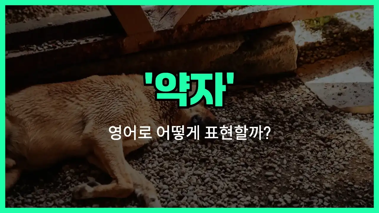 'underdog' 영어표현 썸네일