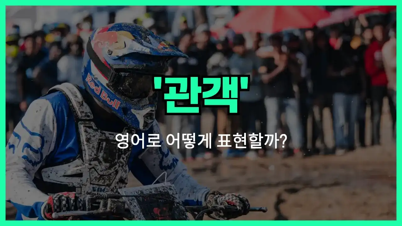 'spectator' 영어표현 썸네일