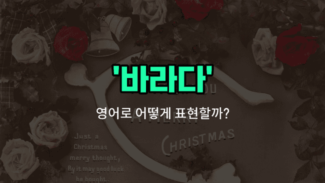 'wish' 영어표현