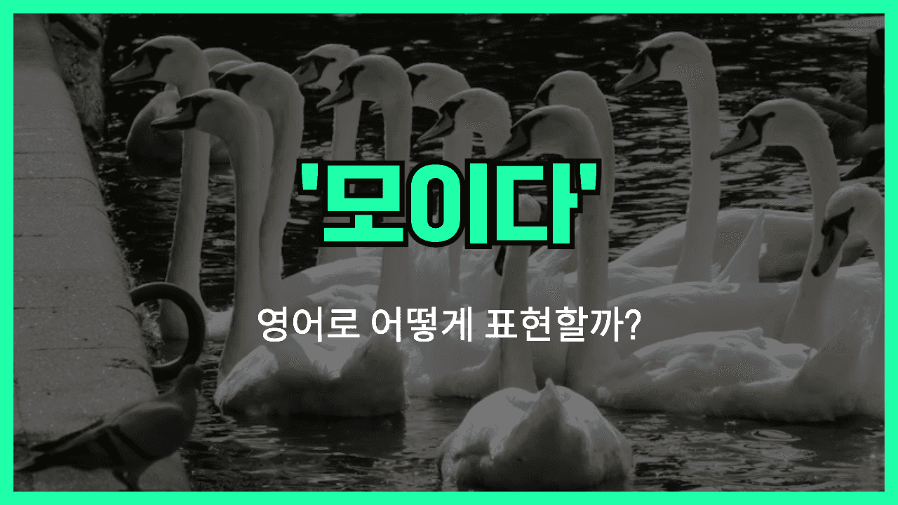 모이다 영어표현 썸네일