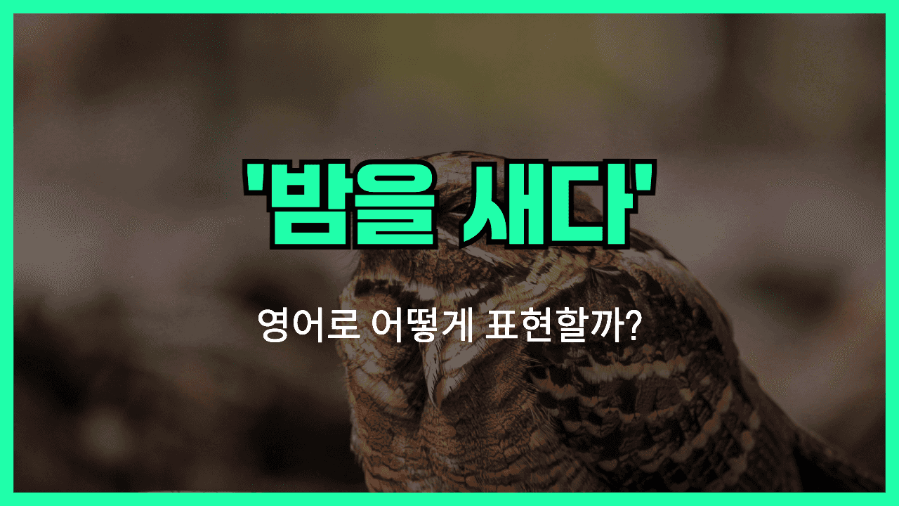밤을 새다 영어표현 썸네일