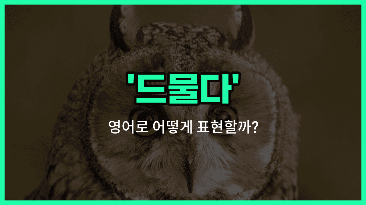 'unusual' 영어표현 썸네일