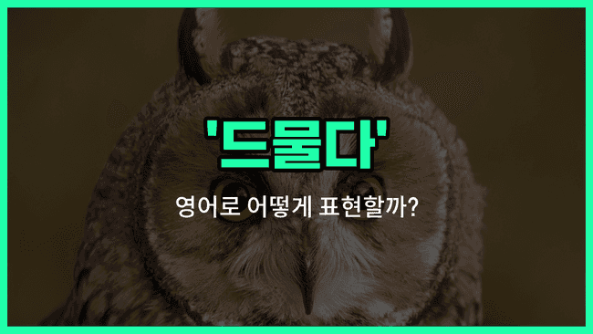 'unusual' 영어표현