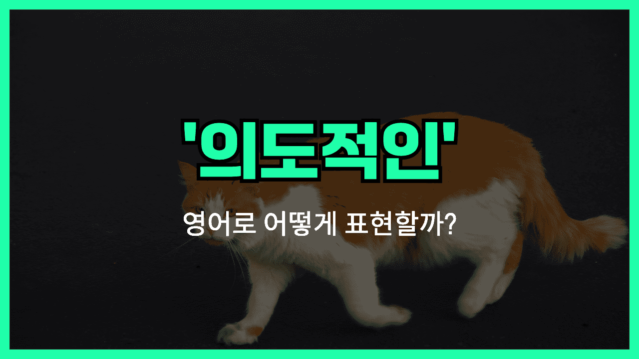 'deliberate' 영어표현 썸네일