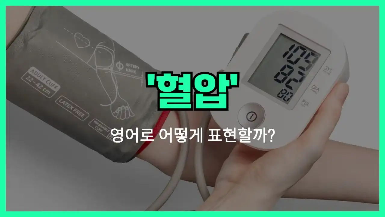 'blood pressure' 영어표현 썸네일