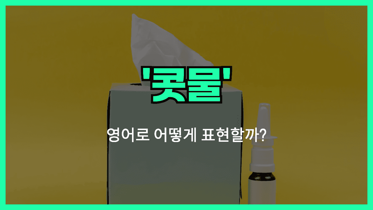 콧물 영어표현