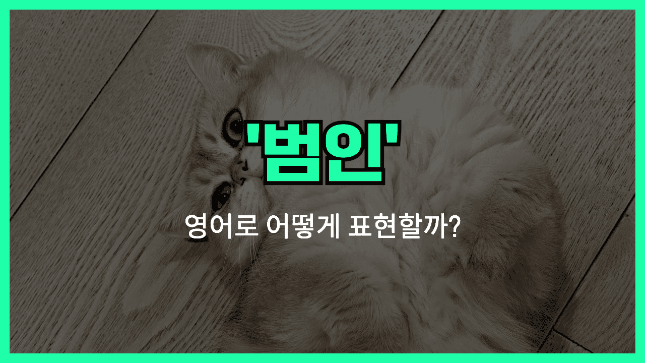 'culprit' 영어표현 썸네일