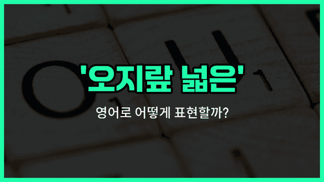 'nosy' 영어표현