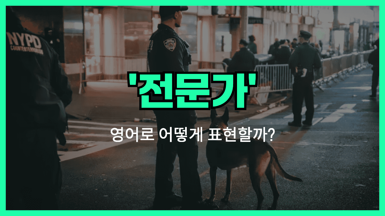 전문가 영어표현 썸네일