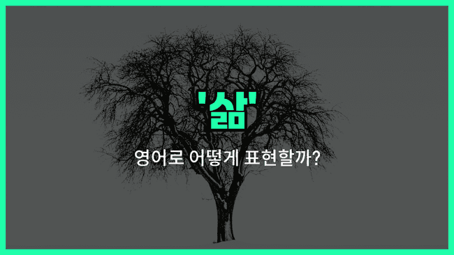 'life' 영어표현