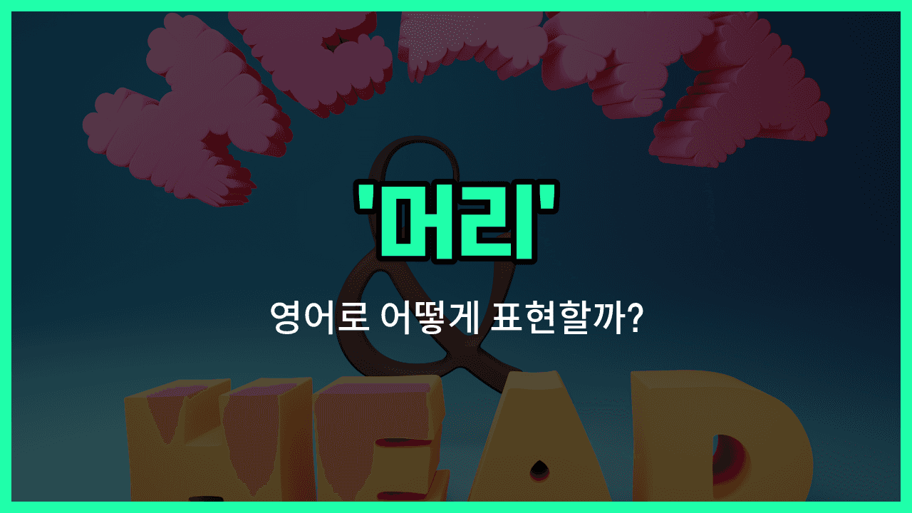'head' 영어표현 썸네일