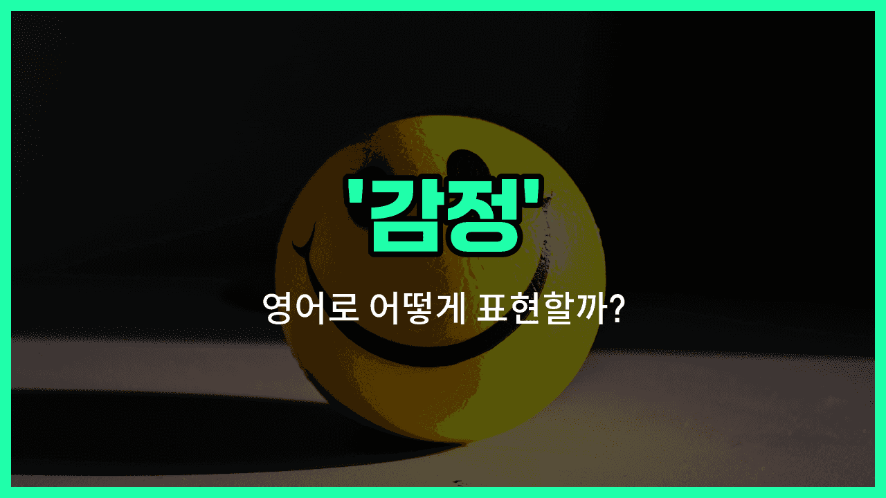 'sentiment' 영어표현 썸네일