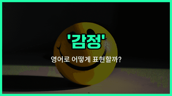 'sentiment' 영어표현