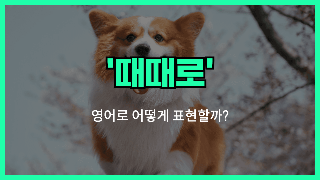 가끔 영어표현 썸네일