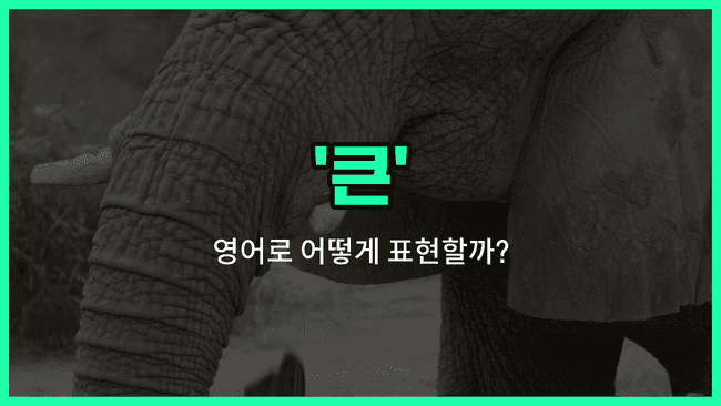 'big' 영어표현