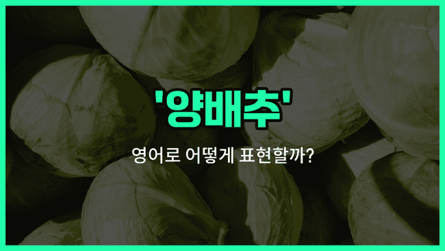 'cole' 영어표현
