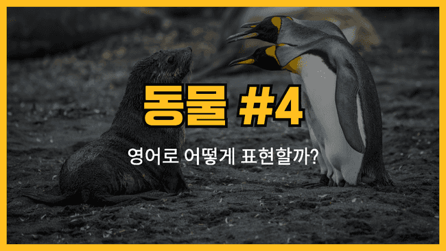 동물 영어표현 #4 썸네일