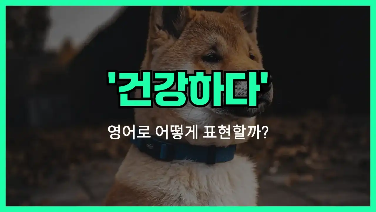 'in good shape' 영어표현 썸네일