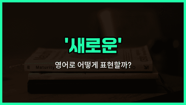 'new' 영어표현