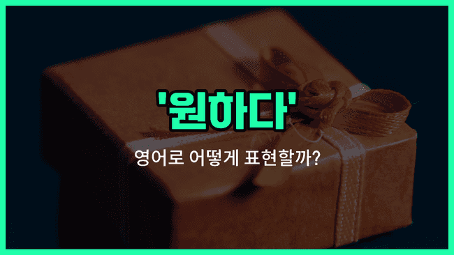 'wants' 영어표현