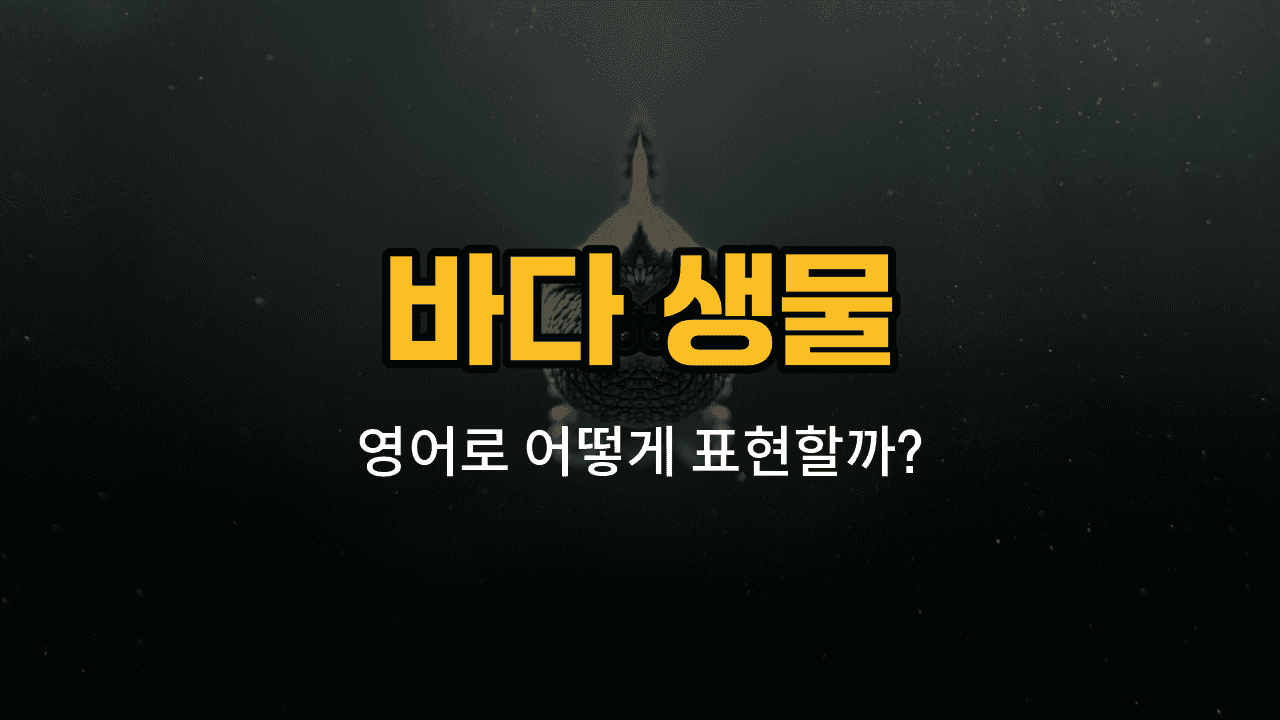 해파리, 불가사리, 가재, 조개, 소라 바다 생물 영어 단어와 예문 이미지
