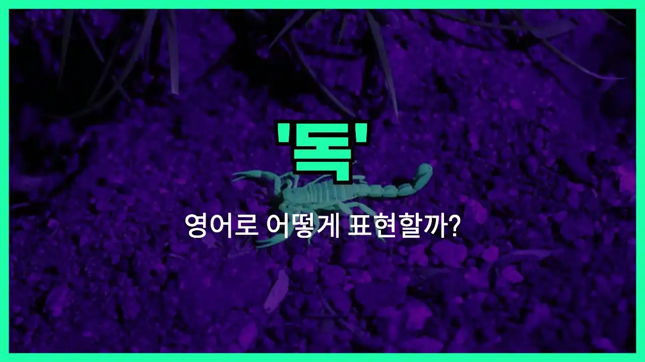 'poison' 영어표현 썸네일