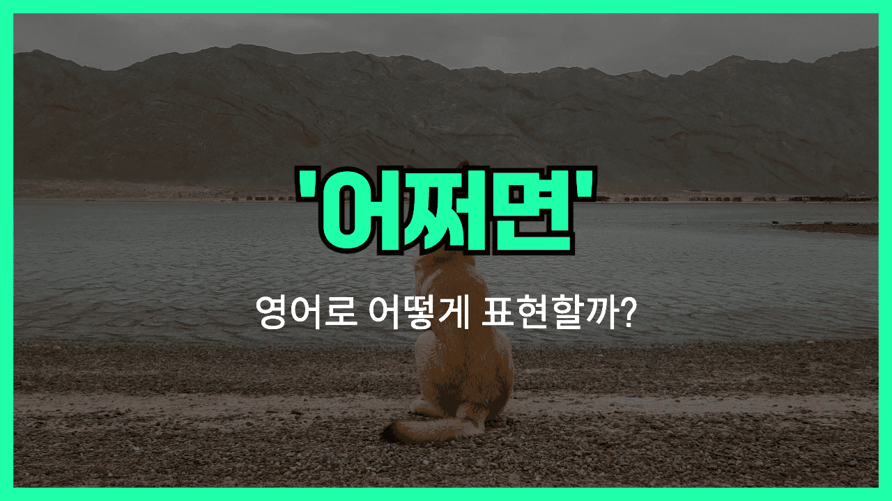 'perhaps' 영어표현 썸네일