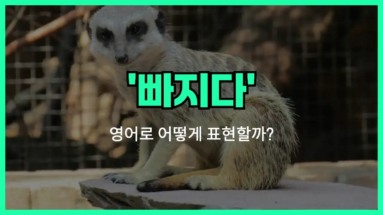 'sit out' 영어표현 썸네일