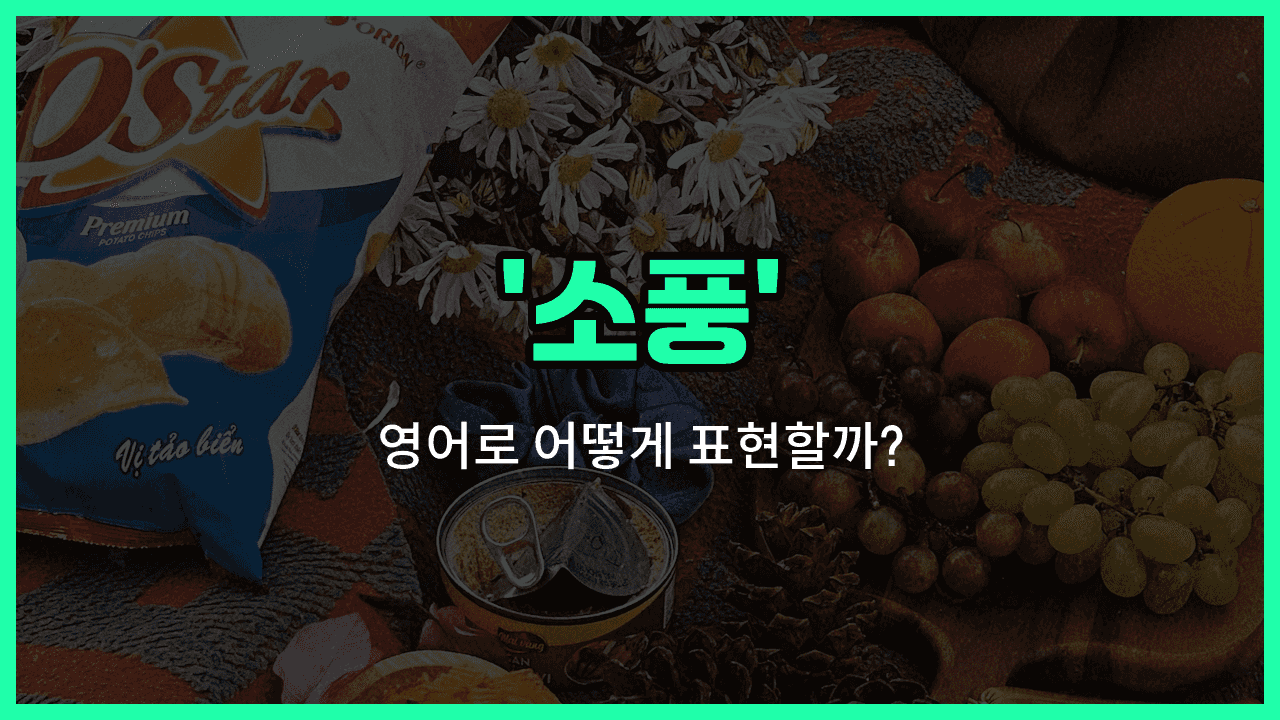 'excursion' 영어표현 썸네일