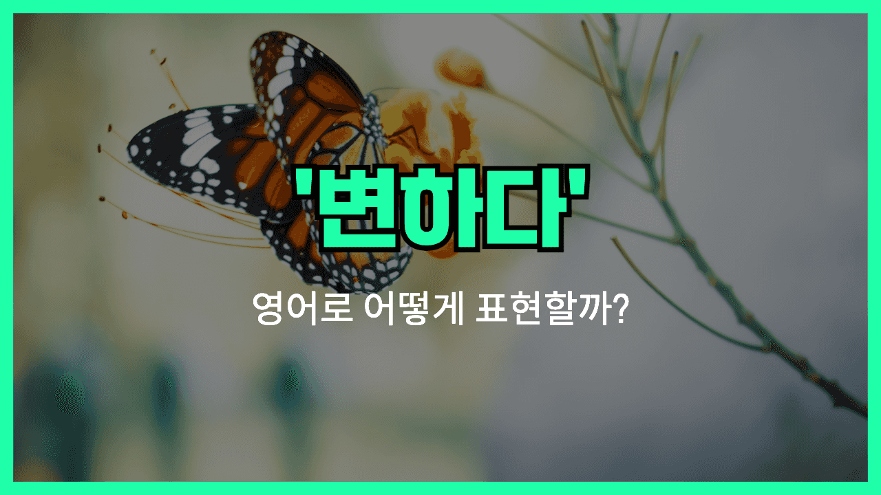 'turn into' 영어표현 썸네일
