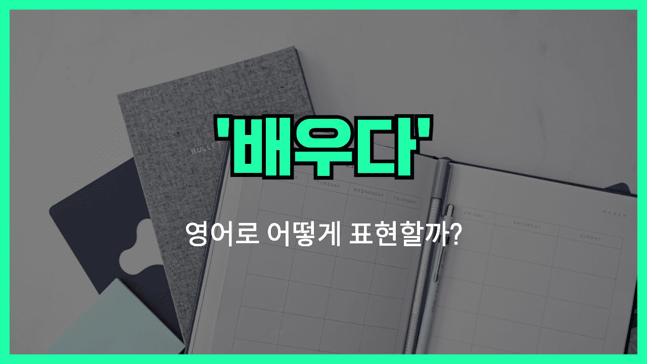 배우다 영어표현 썸네일